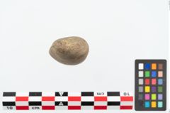 Foto von Schleifstein (NHMW-PRAE-026211)